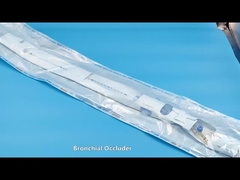 Σωλήνας ενδοβρογχικού αποκλεισμού